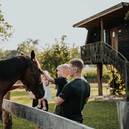 Treehouse Drevesna Hiska Strkovo Gnezdo Ranc Jures Hotel Ljutomer Eksteriør billede