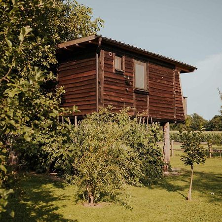 Treehouse Drevesna Hiska Strkovo Gnezdo Ranc Jures Hotel Ljutomer Eksteriør billede
