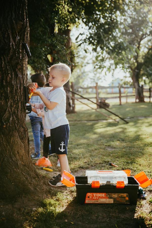 Treehouse Drevesna Hiska Strkovo Gnezdo Ranc Jures Hotel Ljutomer Eksteriør billede