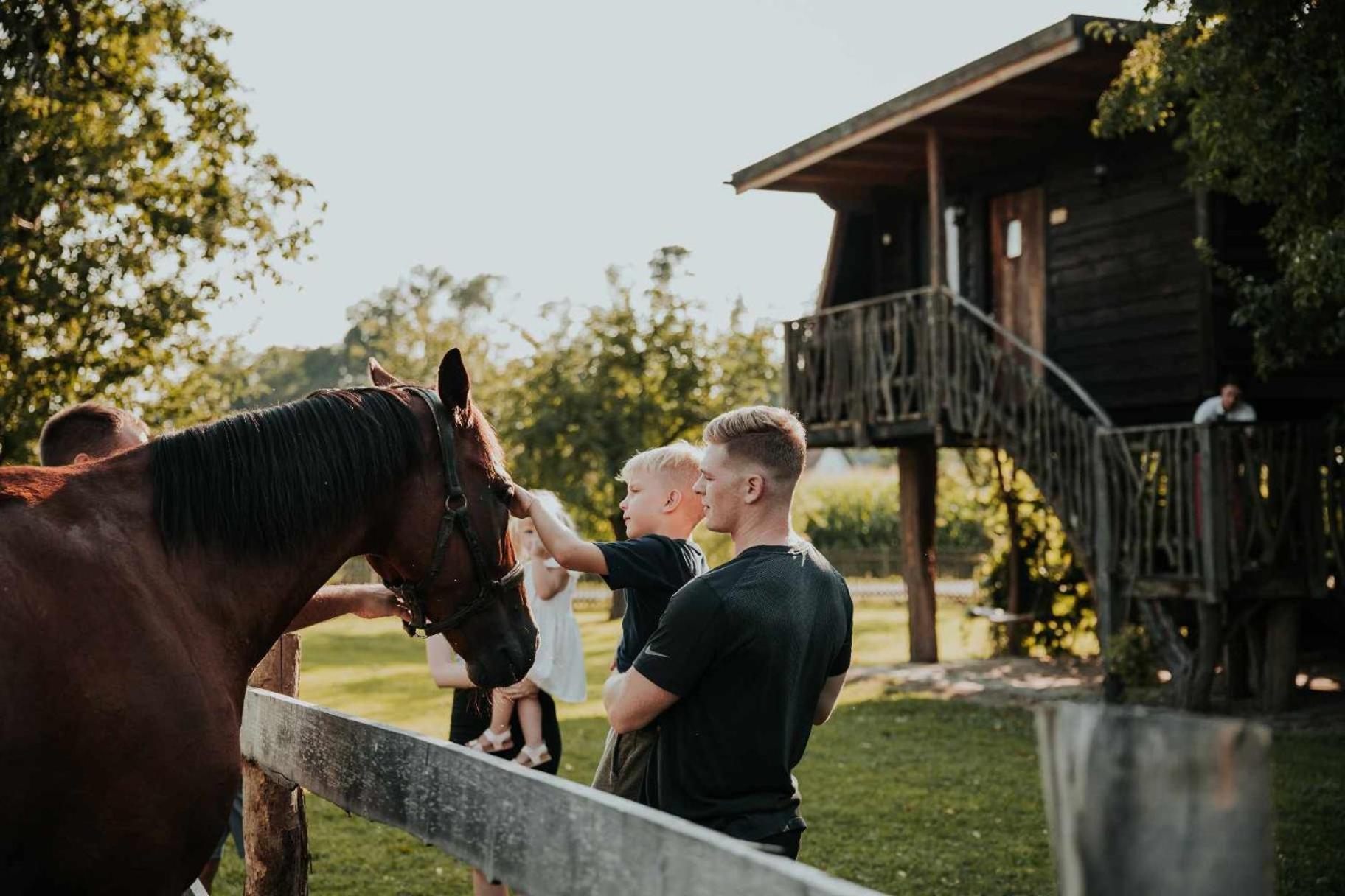 Treehouse Drevesna Hiska Strkovo Gnezdo Ranc Jures Hotel Ljutomer Eksteriør billede