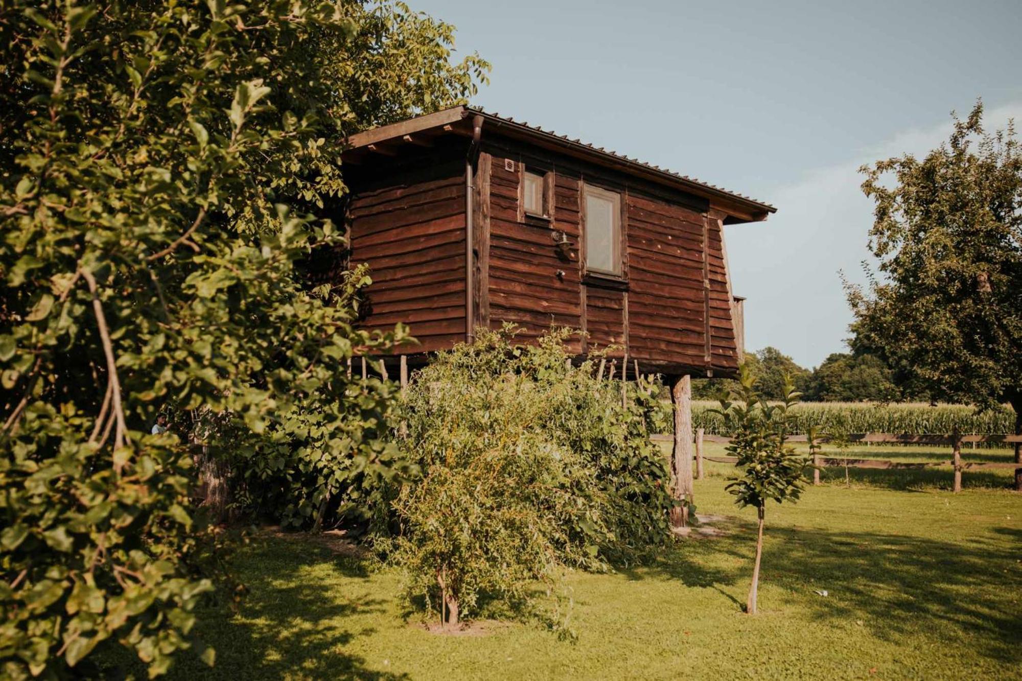 Treehouse Drevesna Hiska Strkovo Gnezdo Ranc Jures Hotel Ljutomer Eksteriør billede